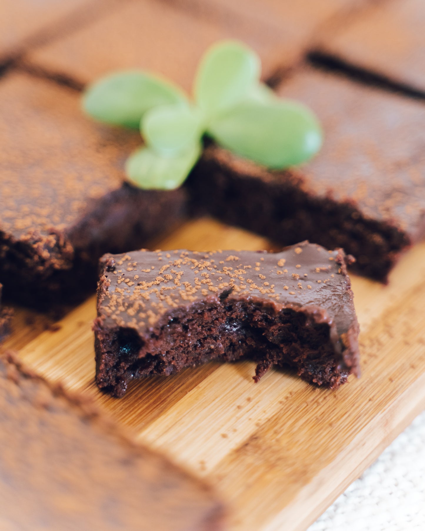 Dark Chocolate and Spekboom Brownies